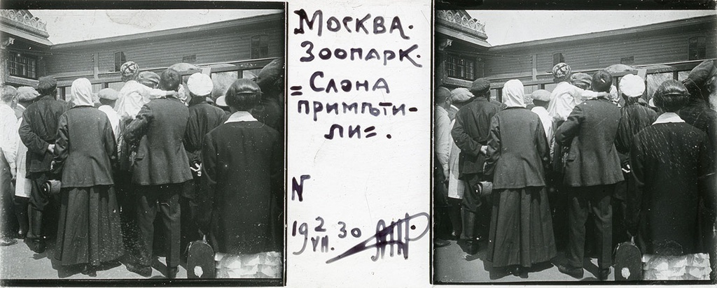Зоопарк. Посетители зоопарка у клетки со слоном, 2 июля 1930, г. Москва. Выставка «Архив доктора Живаго. Зоопарки двух столиц» с этой фотографией.