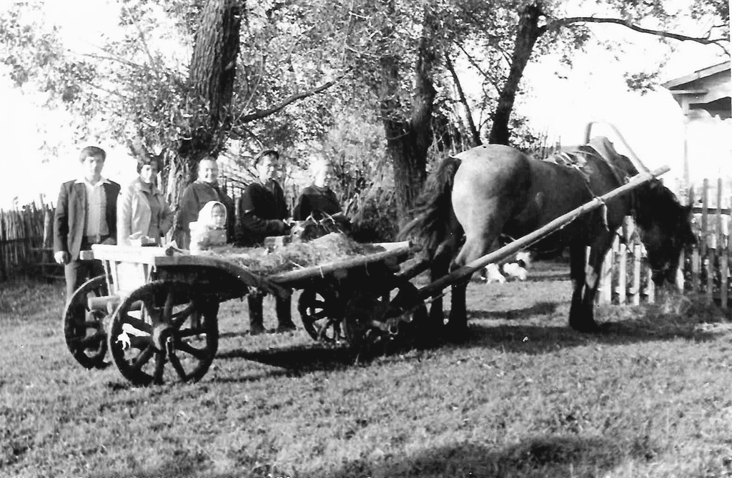 Лошадь с повозкой у дома, 1979 - 1980, Калининская обл., дер. Берниково. Выставка «Немного из жизни одной деревни» с этой фотографией.&nbsp;