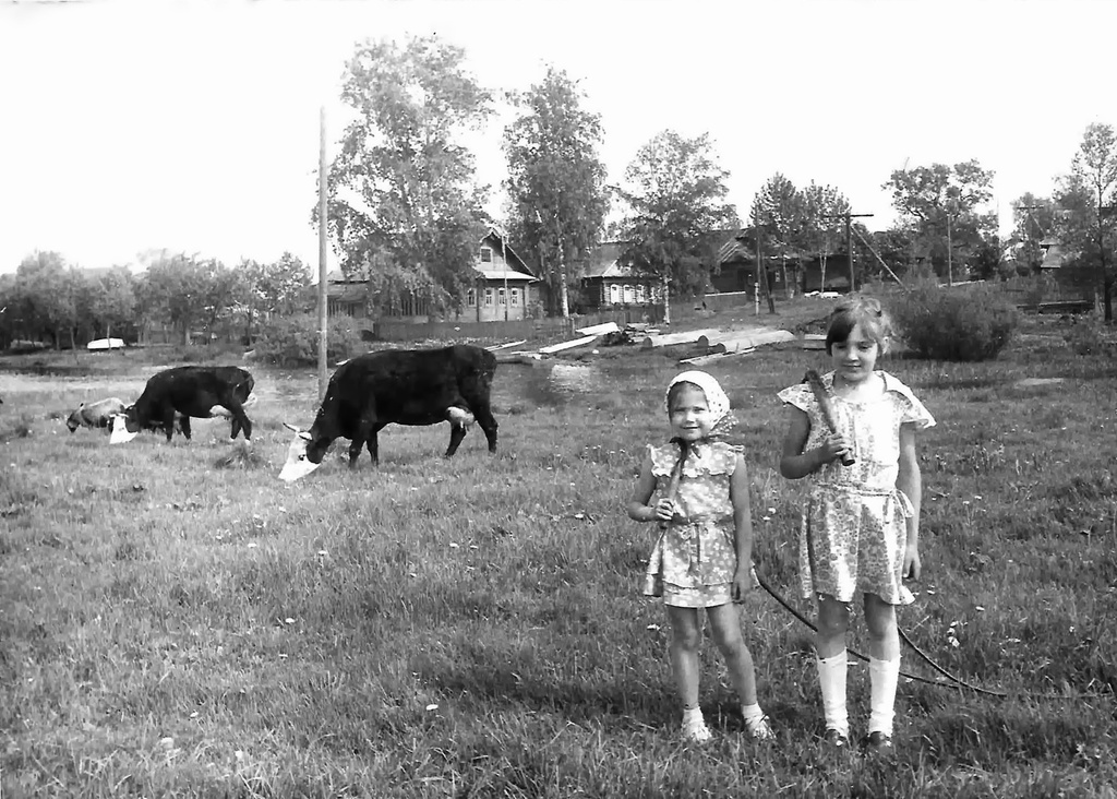 Маленькие пастушки, 1980 - 1982, Калининская обл., дер. Берниково. Выставка «Немного из жизни одной деревни» с этой фотографией.&nbsp;