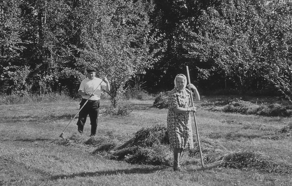 Уборка сена в усадьбе, 1978 - 1980, Калининская обл., дер. Берниково. Выставка «Немного из жизни одной деревни» с этой фотографией.&nbsp;