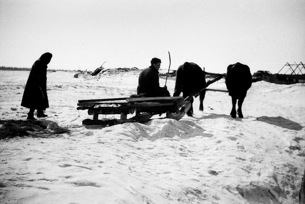 Колхозники, 22 февраля 1953, Московская обл., Серпуховский р-н. Выставка «По России на санях» с этой фотографией.