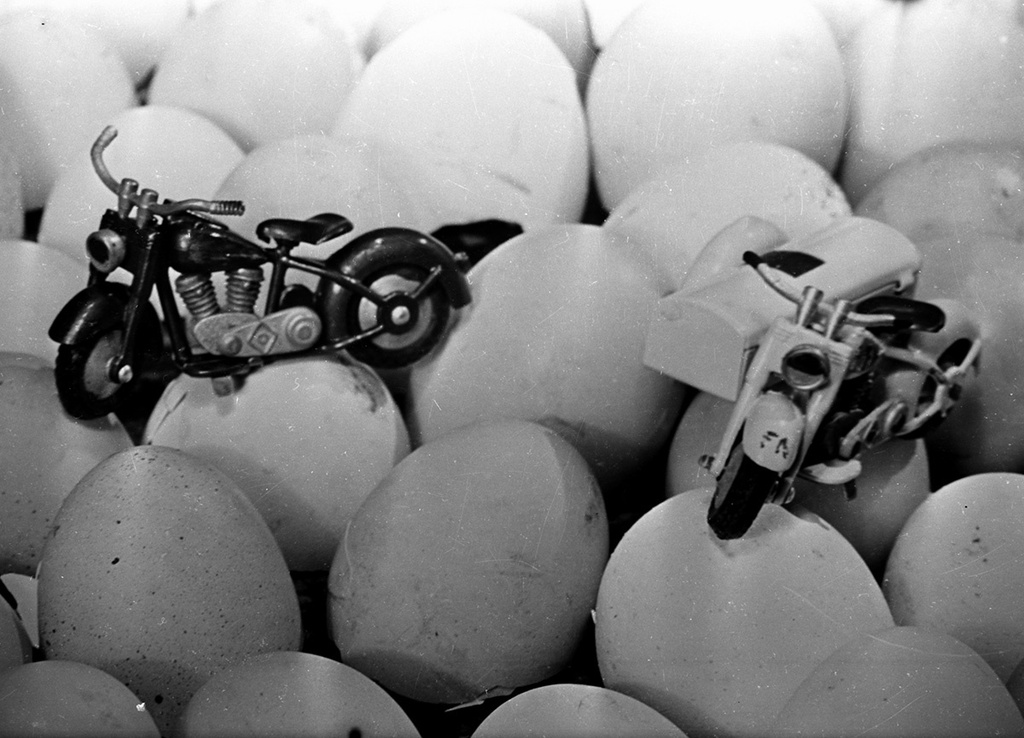 В Советском павильоне Всемирной выставки, 28 мая 1958, Бельгия, г. Брюссель. Из цикла «Вокруг Европы на теплоходе "Грузия"».Выставка «А где же яйца?» с этой фотографией.&nbsp;