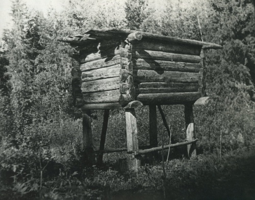 Охотничья кладовая (лабаз), 1900-е, Пермская губ.