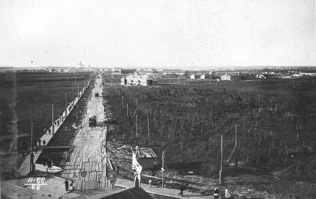 Фото "Вид с пожарной вышки на первый участок", 1937 год, Северная обл ...
