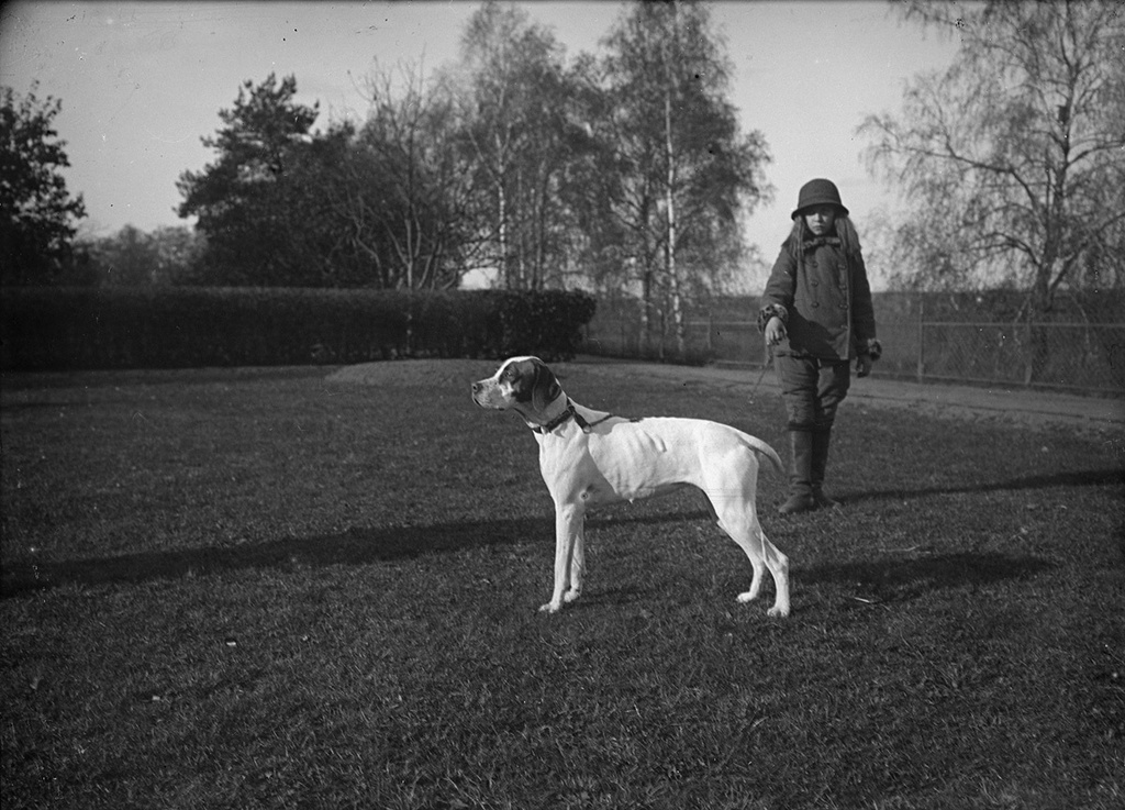 Кира Вострякова с собакой, 1910-е, Московская губ., усадьба Солнцево. Выставка «Дача мечты. Солнцево на Клязьме» с этой фотографией.