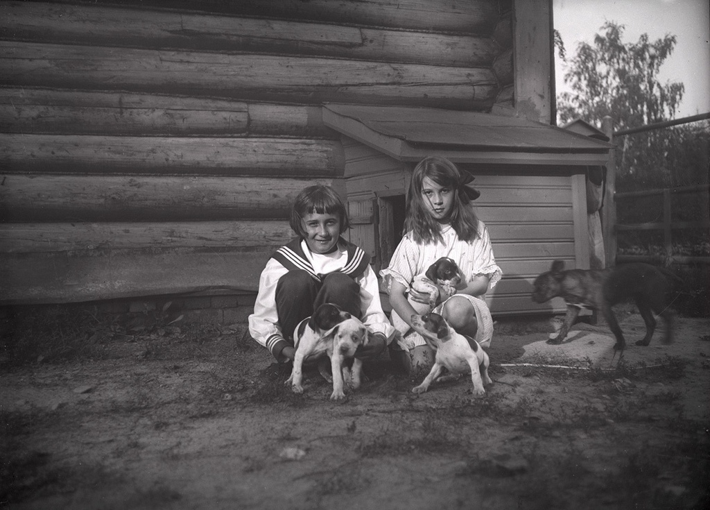 Игорь и Кира Востряковы с щенками, 1910-е, Московская губ., усадьба Солнцево. Выставка «Дача мечты. Солнцево на Клязьме» с этой фотографией.