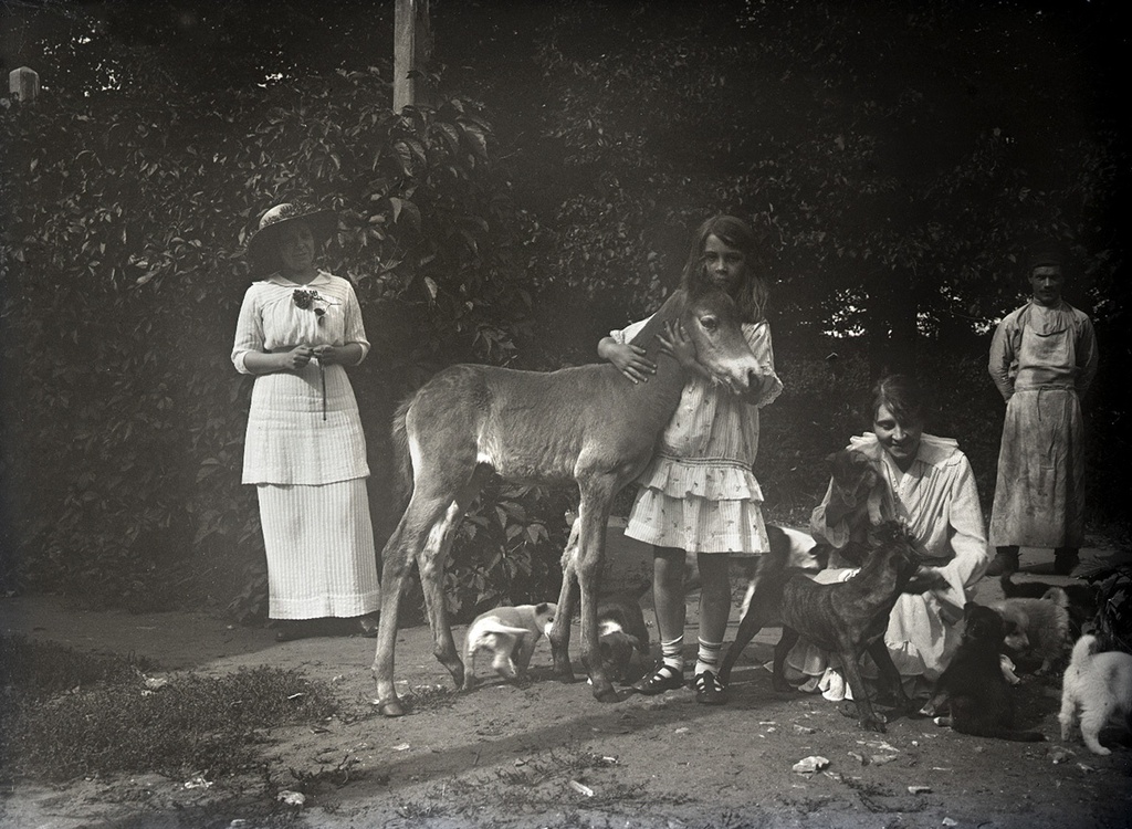 Мария Вострякова с щенками и Кира с жеребенком, 1910-е, Московская губ., усадьба Солнцево. Выставка «Дача мечты. Солнцево на Клязьме» с этой фотографией.