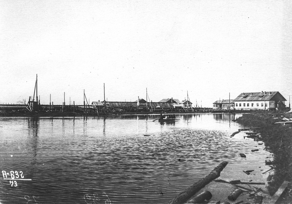 Деревья для городского озеленения фото и названия