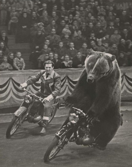 Иван Кудрявцев и Гоша, 1959 год, г. Москва. Выставка «Скорость, драйв, мотоцикл – снято!» с этой фотографией.