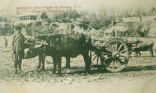 Кавказские типы, 1890 - 1905