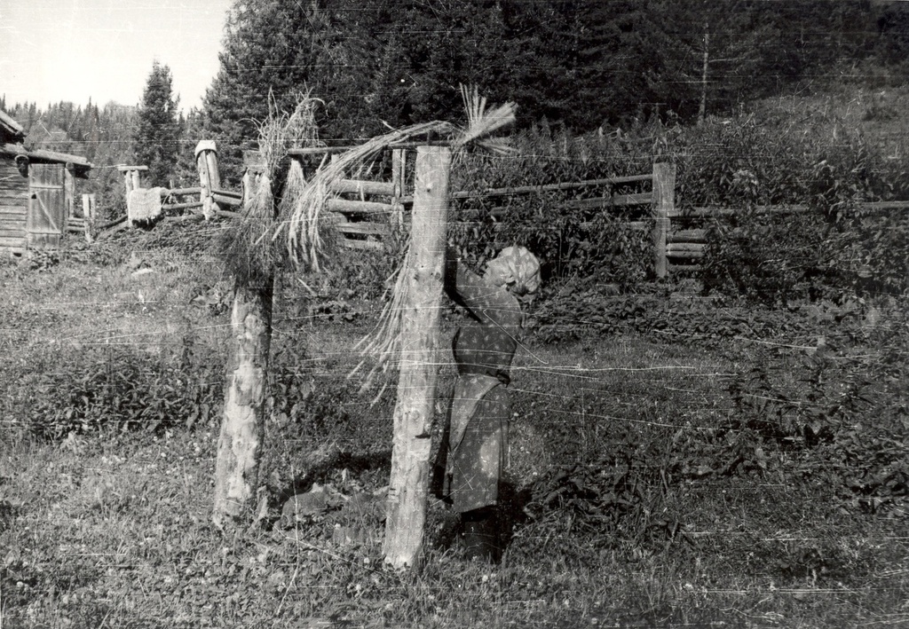 Обработка льна, 1984 год, Кемеровская обл., Таштагольский р-н. Выставка «Традиционные занятия шорцев» с этой фотографией.