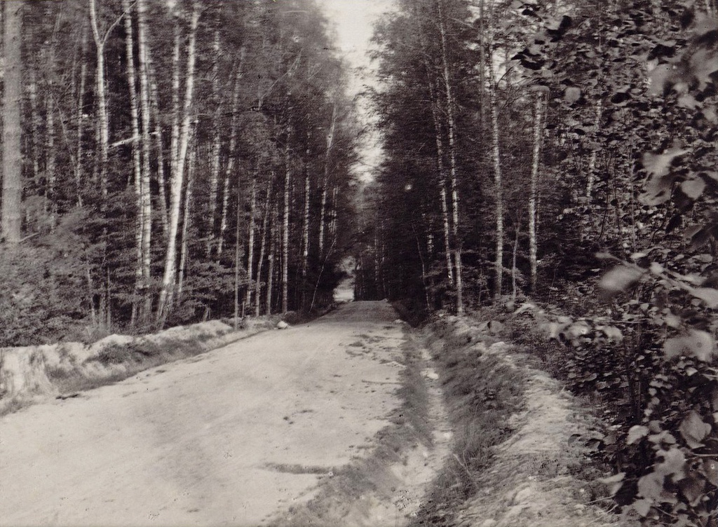 По дороге к пасеке, 1896 год, Московская губ., с. Измайлово. Из альбома опытной пасеки И. Р. О. А. Ж. и Р. (Императорского русского общества акклиматизации животных и растений).