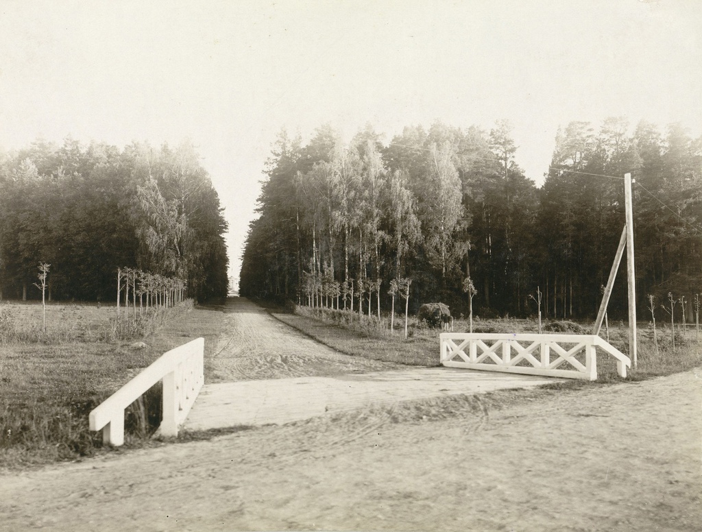 Въезд в Архангельское с Ильинского шоссе, 1896 - 1897, Московская губ.. Из альбома с видами усадьбы Архангельское.