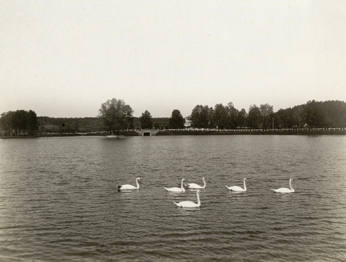 Лебедянь старые фотографии