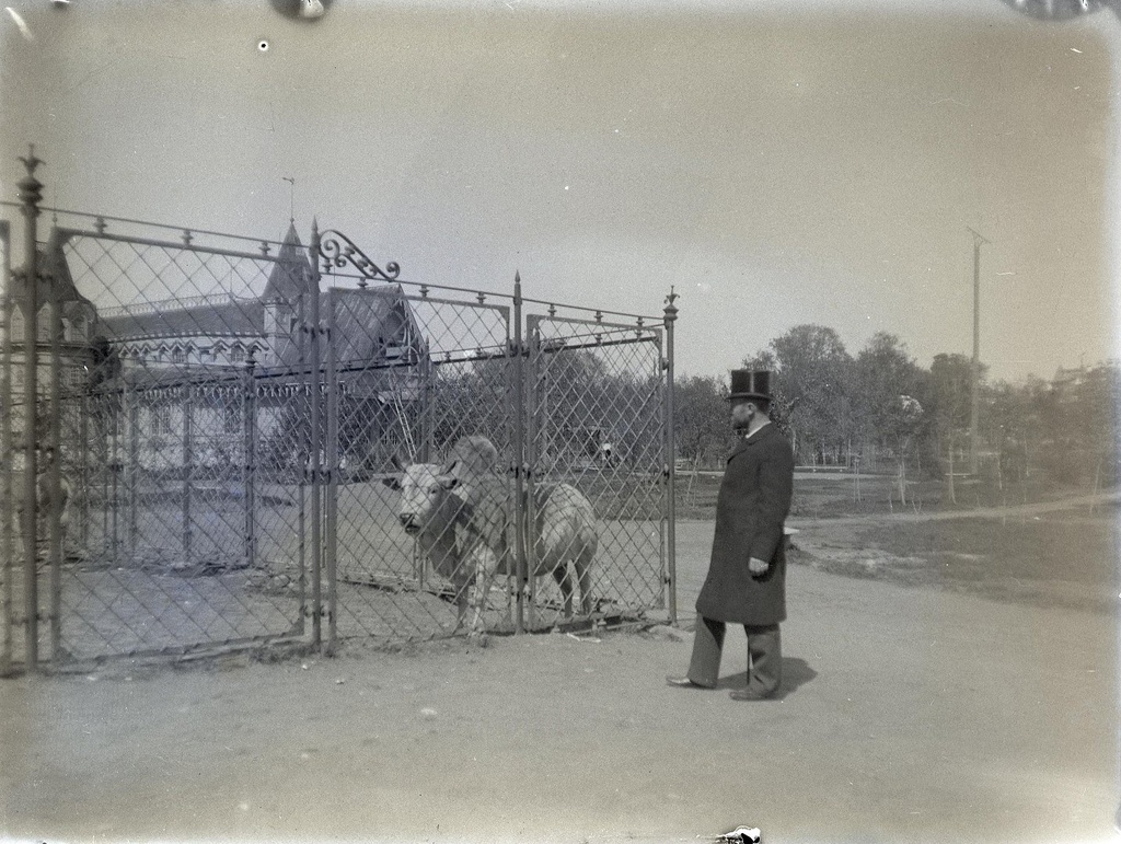 Московский зоологический сад, март - август 1898, г. Москва. Выставка «Архив доктора Живаго. Зоопарки двух столиц» с этой фотографией.