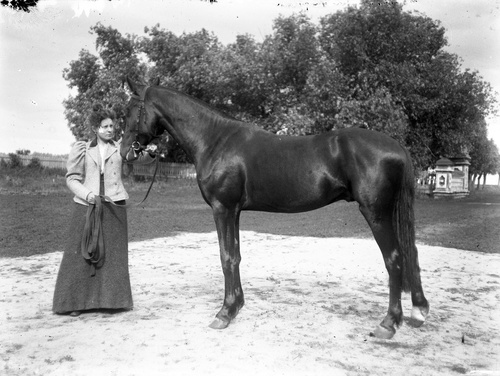 Мария Васильевна Вострякова (урожденная Малютина) с лошадью, 1890 - 1909