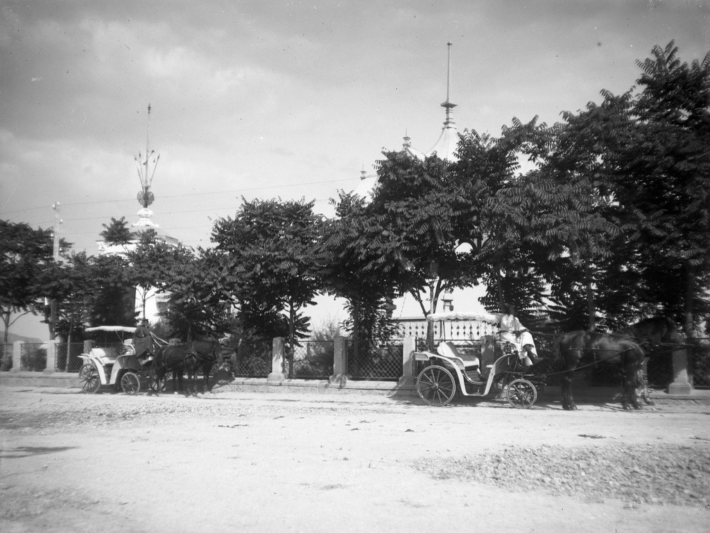 Коляски, запряженные лошадьми, в Александровском сквере в Ялте, 1897 год, Крым, г. Ялта. Ныне – сквер Калинина.