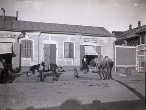 На улице, 6 июля 1898, г. Астрахань