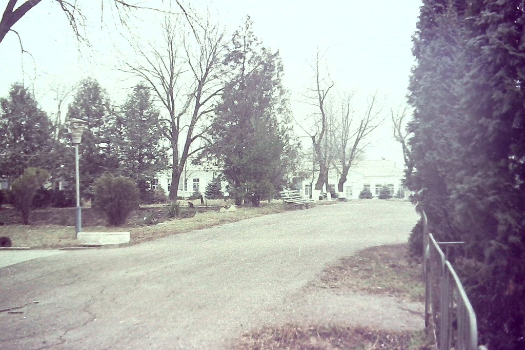 Парк, 15 декабря 1989 - 15 января 1990, Краснодарский край, станица Выселки. Фотография из архива Вадима Владимировича Кулагина.