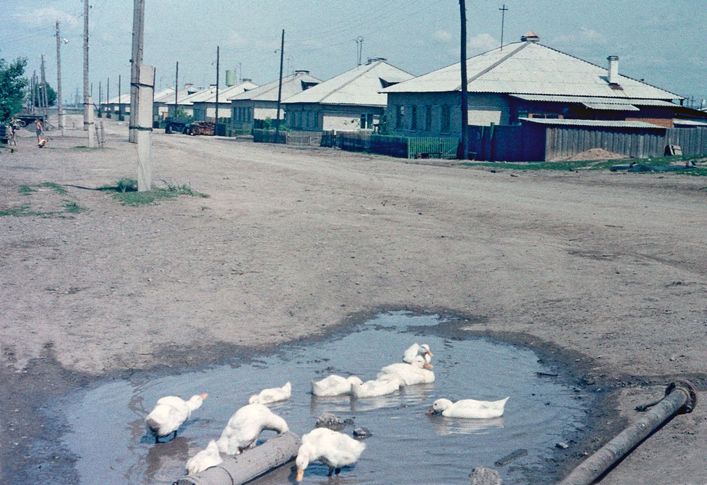 Красноярск 1983. Красноярск 1983 фото. Красноярский 1983.