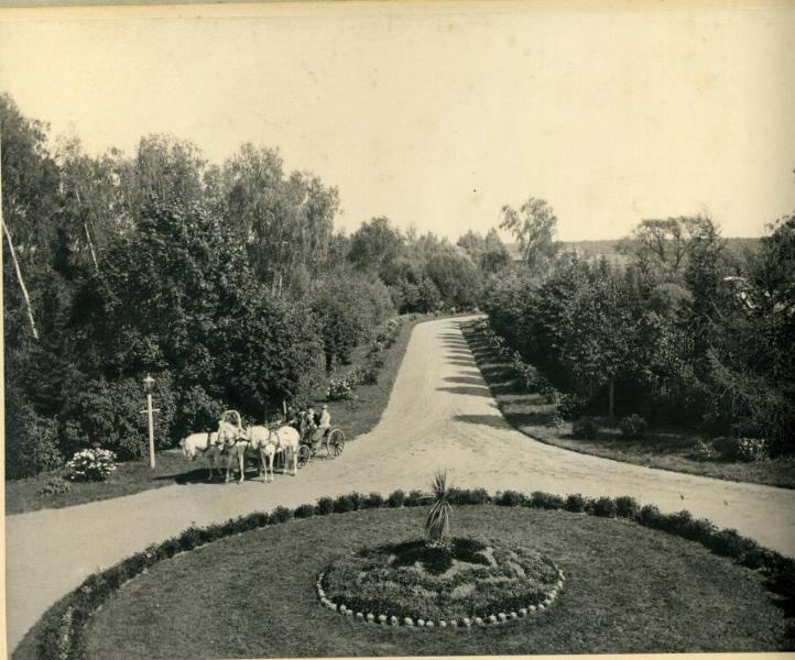 Вид сверху на клумбу и дорогу, 1901 год, г. Москва