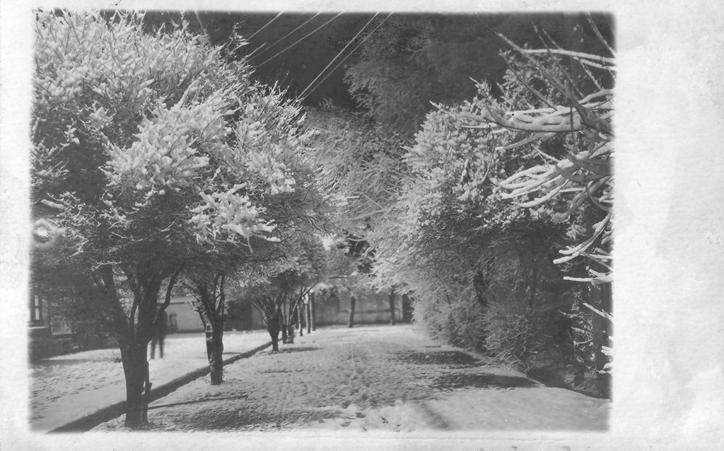Зима в Ашхабаде, 1920-е, Туркменская ССР, г. Ашхабад. Выставка «Падал прошлогодний снег» с этой фотографией.