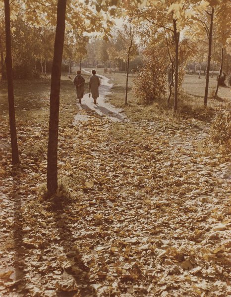 «Золотистой тропою», 1960-е. Выставки&nbsp;«Золотой октябрь»&nbsp;и «Листья желтые над городом кружатся...» с этой фотографией.