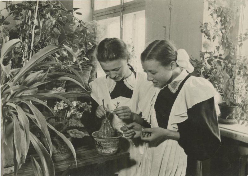 В школе, 1950 год. Выставка «Советское благополучие Михаила Грачева» с этой фотографией.