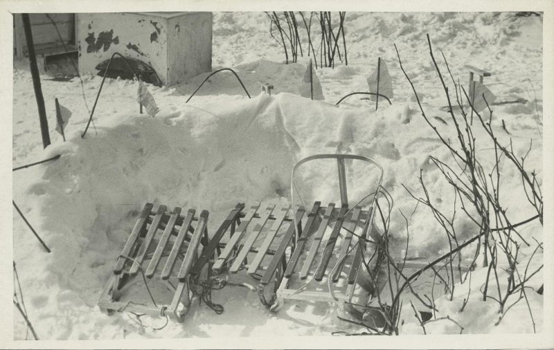 Зима. Санки, 1970-е, Ярославская обл., г. Мышкин. Выставки «Зимние забавы»&nbsp;и «15 фотографий катаний на санках» с этим снимком.