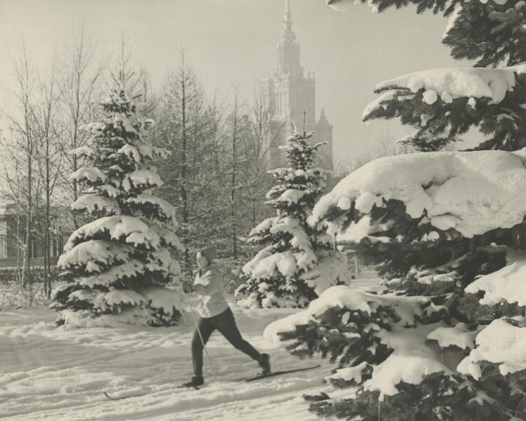 Лыжница у МГУ, 1963 год, г. Москва. Выставка «Зимние забавы» с этой фотографией.