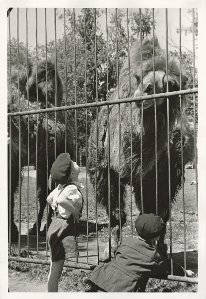 Московский зоопарк, 1957 год, г. Москва. Выставка «Москва и москвичи» с этой фотографией.