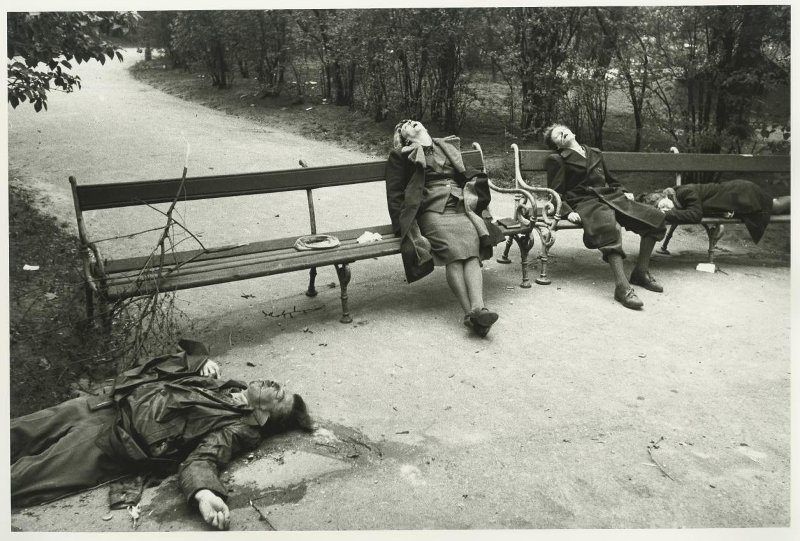 Семья нациста-самоубийцы в парке у здания Парламента, апрель 1945, Австрия, г. Вена