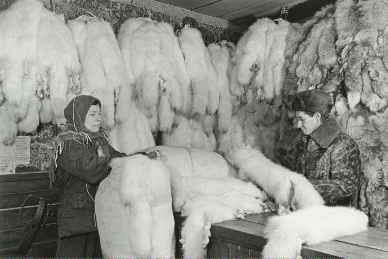 Без названия, 1949 год, Архангельская обл., Ненецкий национальный округ, г. Нарьян-Мар