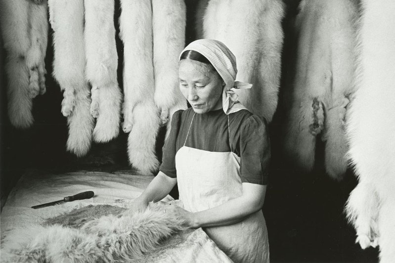 Без названия, 1949 год, Архангельская обл., Ненецкий национальный округ, г. Нарьян-Мар