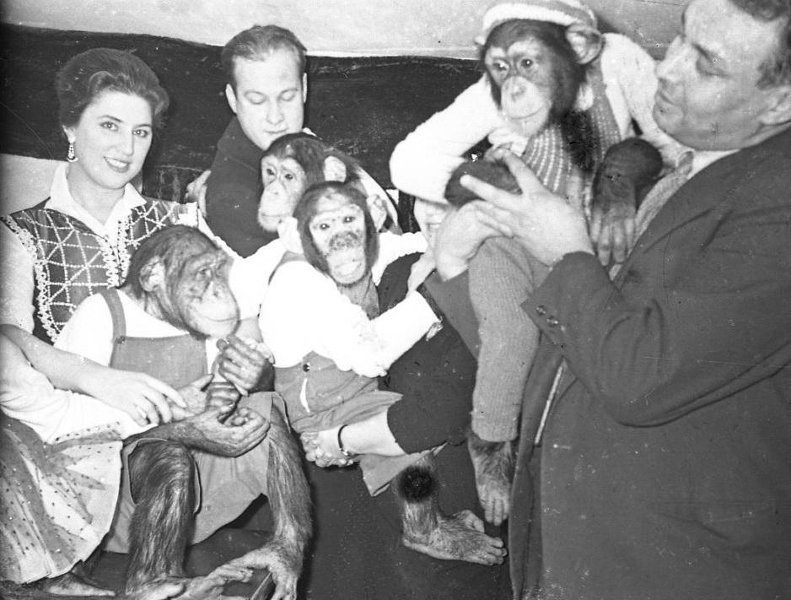 Дрессировщики с шимпанзе за кулисами цирка, 1960 год, г. Москва. Слева стоит итальянская дрессировщица Эльвира Чиплини.