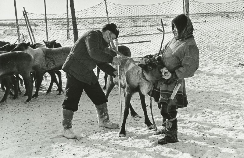 Без названия, 1949 год, Архангельская обл., Ненецкий национальный округ, г. Нарьян-Мар