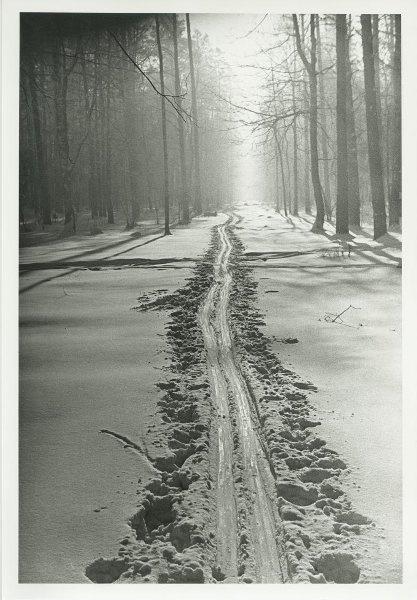 Зима. Лыжня в парке, 1936 - 1939