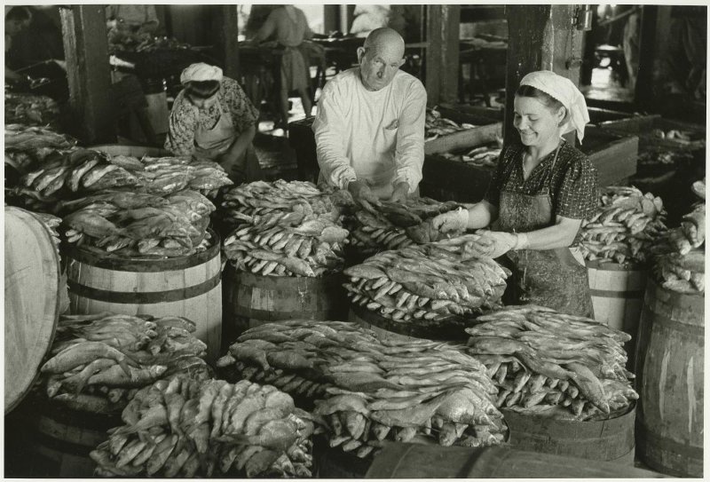 Заготовительных цех Каспийского рыбного хозяйства, август 1952, Казахская ССР. Выставка «10 лучших послевоенных фотографий Аркадия Шайхета» с этой фотографией.