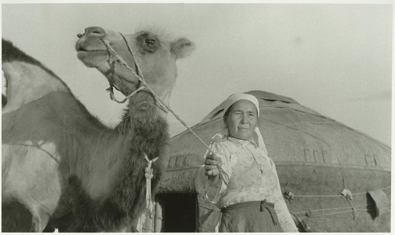 Целина. Местная жительница с верблюдом, август 1952, Казахская ССР