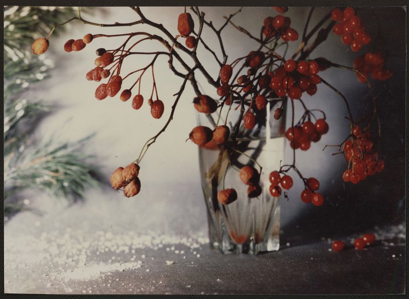 Осенний букет, 1970-е. Выставка «Язык цветов» с этой фотографией.