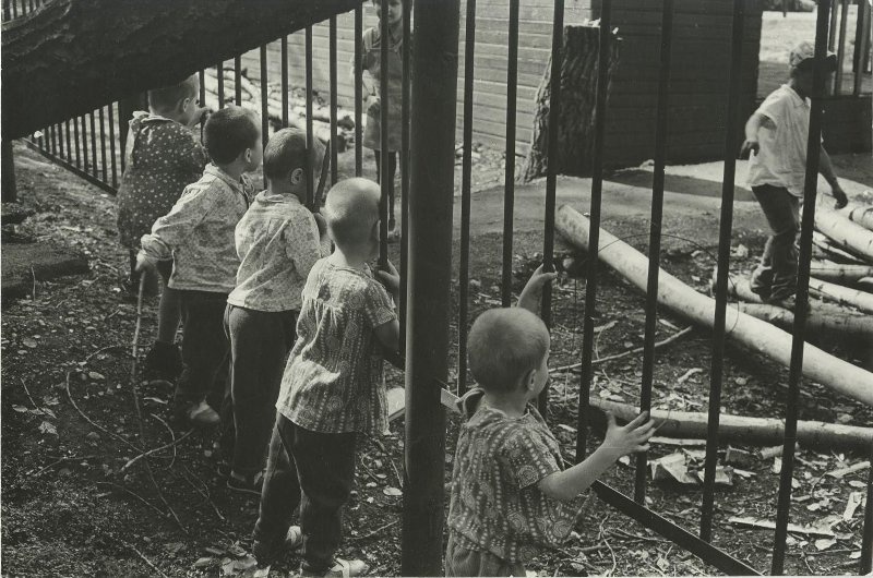 «Граница» двух миров. Психоневрологический дом ребенка, 30 мая 1981, Кемеровская обл., г. Новокузнецк. Выставка «Дети 1980-х» с этой фотографией.