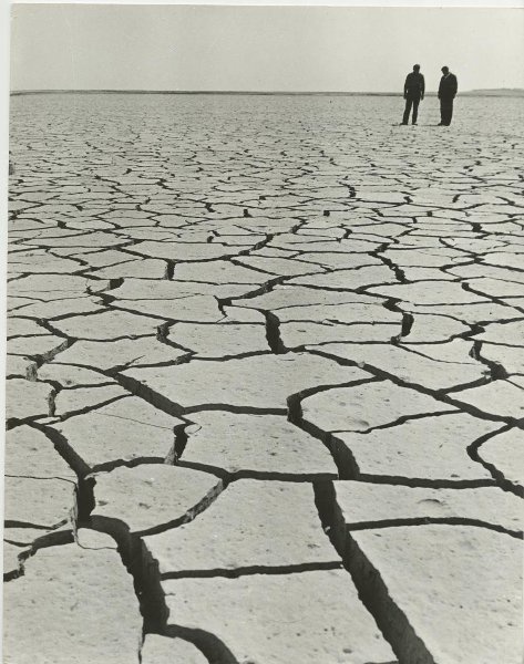 «Жажда», 1970 год. Выставки «Жара» и&nbsp;«В пустыне» с этой фотографией.