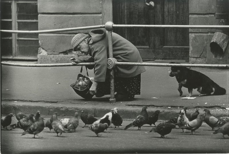 Хлеб для голубей, июнь 1978, г. Ленинград. Выставка «С "Лейками" по городу» с этой фотографией.