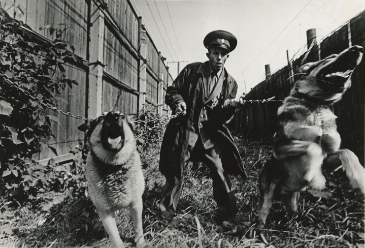 Надежная охрана. Из серии «Исправительно-трудовая колония», 1978 год. Выставка «"Несоветская" фотография. Юрий Рыбчинский» с этим снимком.