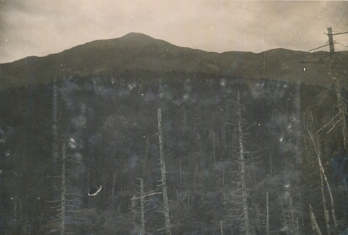 Гора Шишкина в хребте Поднебесном, 1933 - 1934, Приморский край