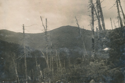 Гора Соболиная в хребте Поднебесном, 1933 - 1934, Приморский край