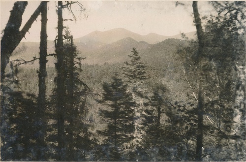 Типичный ландшафт в центральной части заповедника. Верховья р. Белобородова, на заднем плане вершина Снежной горы, 1933 - 1934, Приморский край