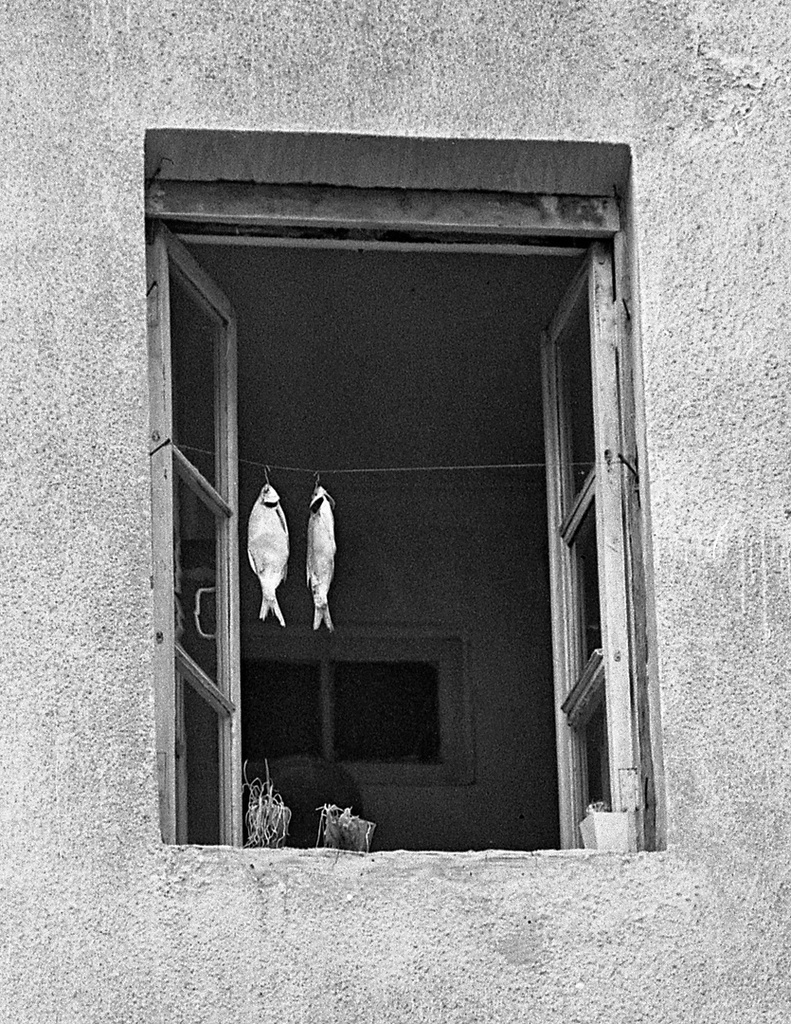 В окне, 1983 год, Краснодарский край, Большой Сочи,  Лазаревский внутригородской р-н. Выставка «"Личное и лиричное" фотографа Валерия Усманова» с этой фотографией.
