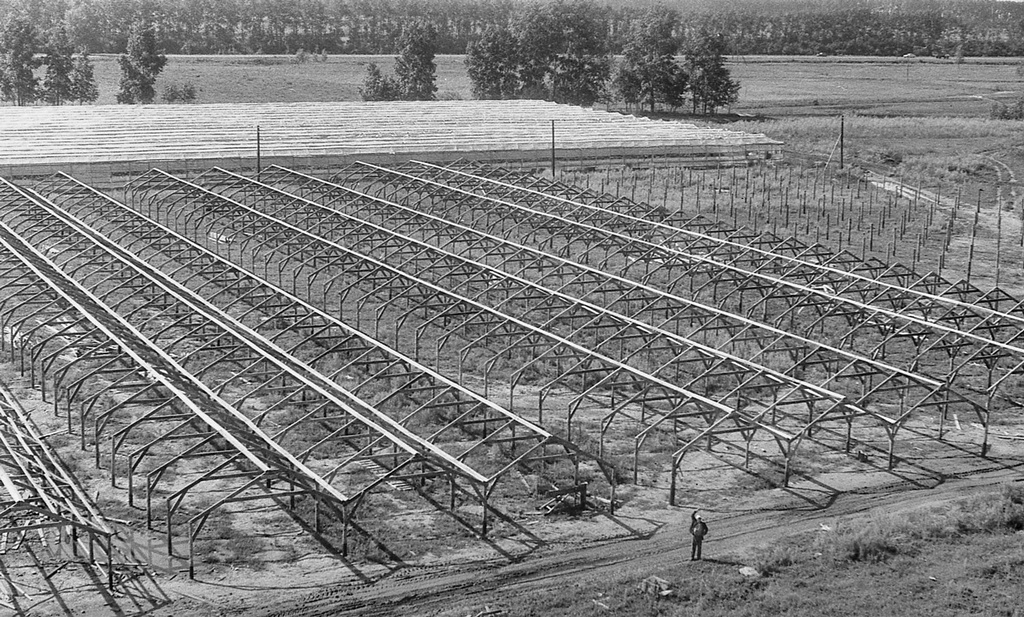 «Здесь будут теплицы», 28 мая 1984 - 13 августа 1984, Красноярский край, Хакасская АО, Усть-Абаканский р-н. Студенческий строительный отряд «Алгоритм» Московского института электронного машиностроения (ныне – Московский институт электроники и математики имени А. Н. Тихонова) в Хакасии.Выставка «Из Хакасии» с этой фотографией.