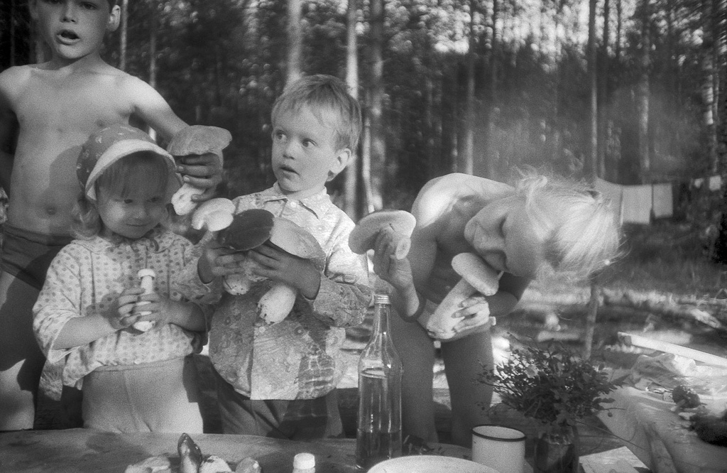Молодые грибники, 1 - 30 августа 1991, Вологодская обл.. Выставка «Дети 90-х» с этой фотографией.